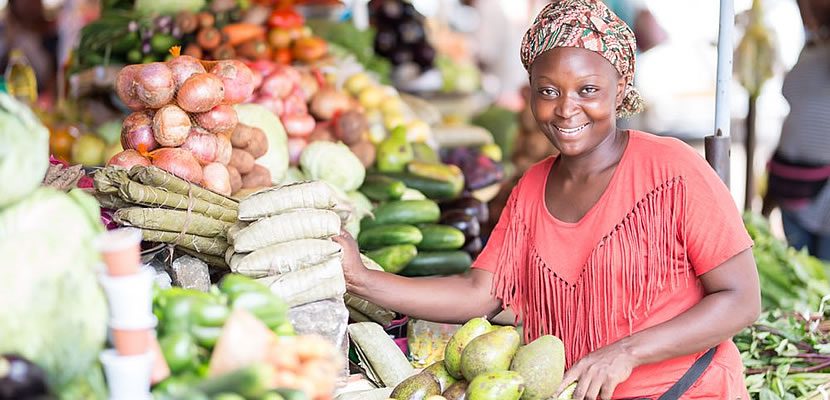 DT Micro Mortgage Loan